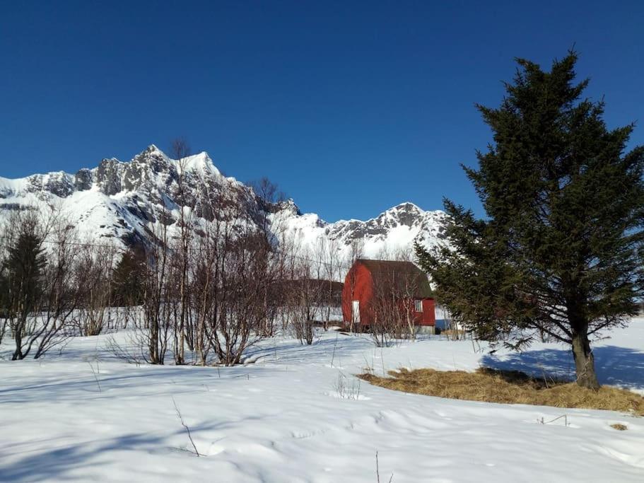 Cozy Apartment Between Sea And Mountains Mefjordvær 外观 照片