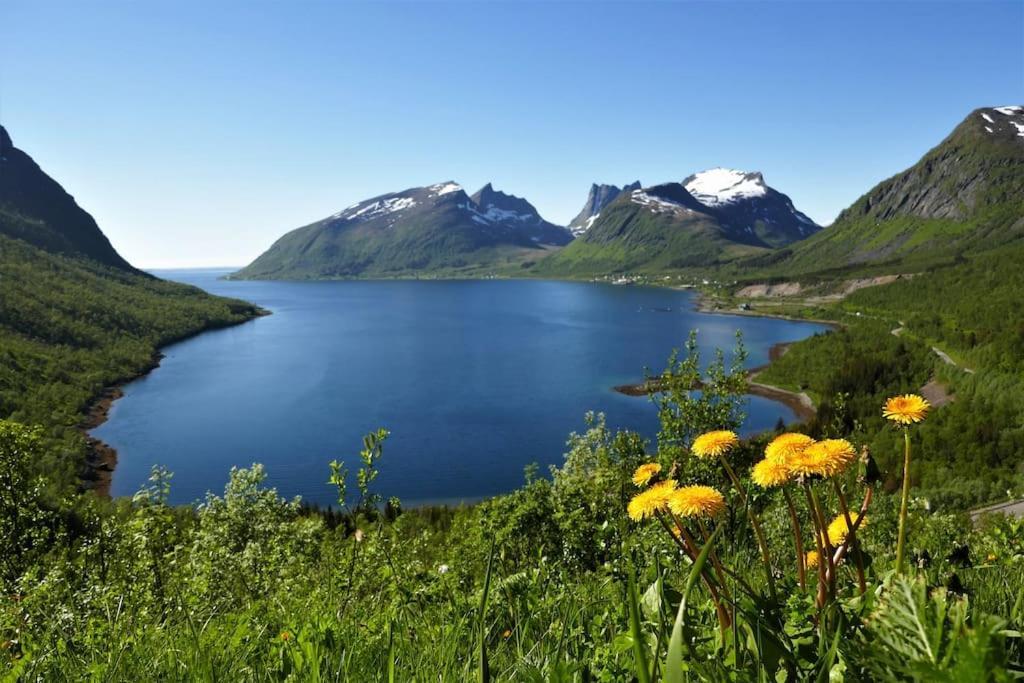 Cozy Apartment Between Sea And Mountains Mefjordvær 外观 照片